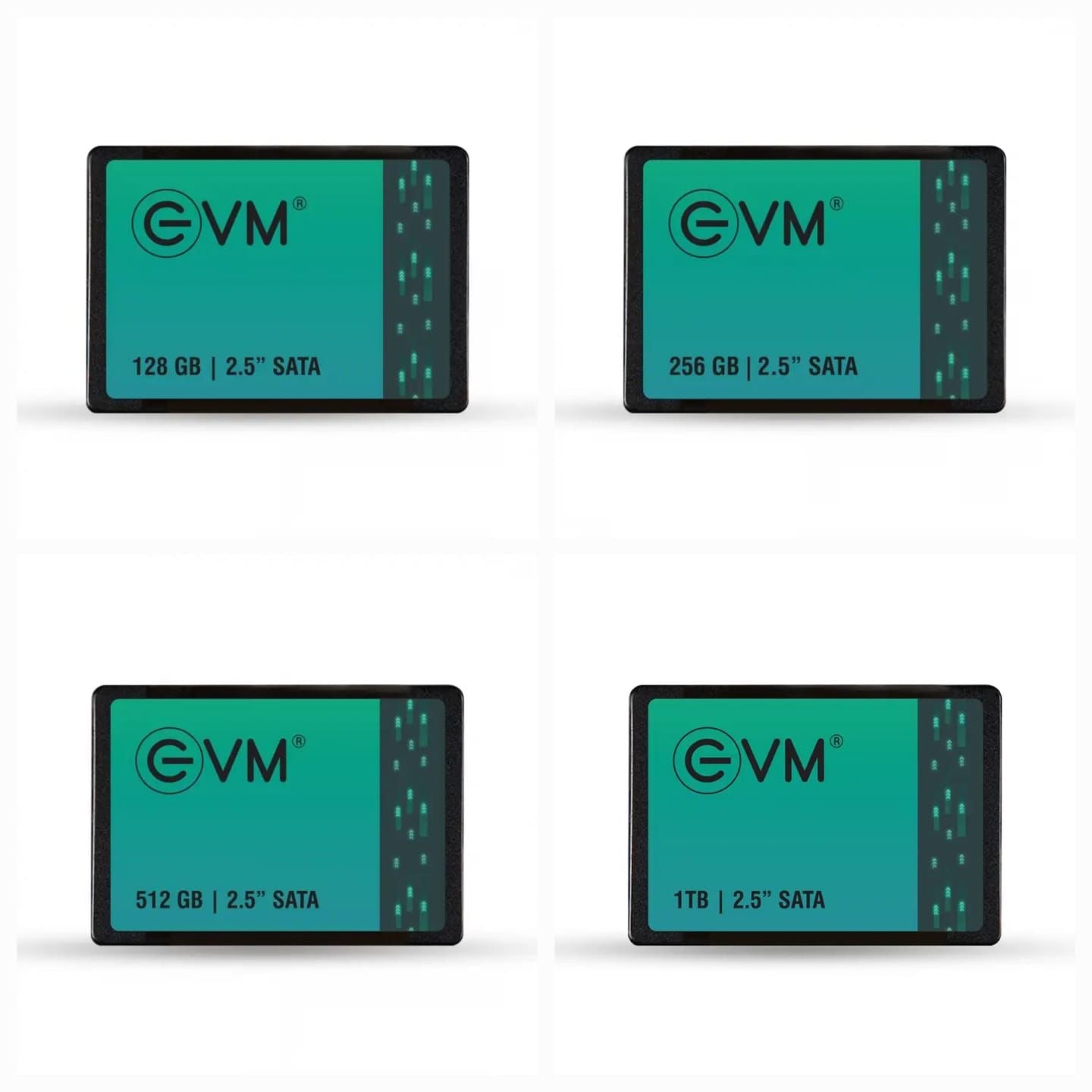 EVM 2.5” SATA SSDs – High-Performance Solid-State Drives