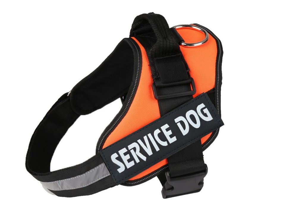 Pet chest strap with dog leash