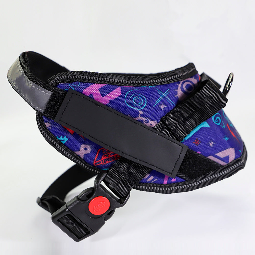 Pet chest strap with dog leash