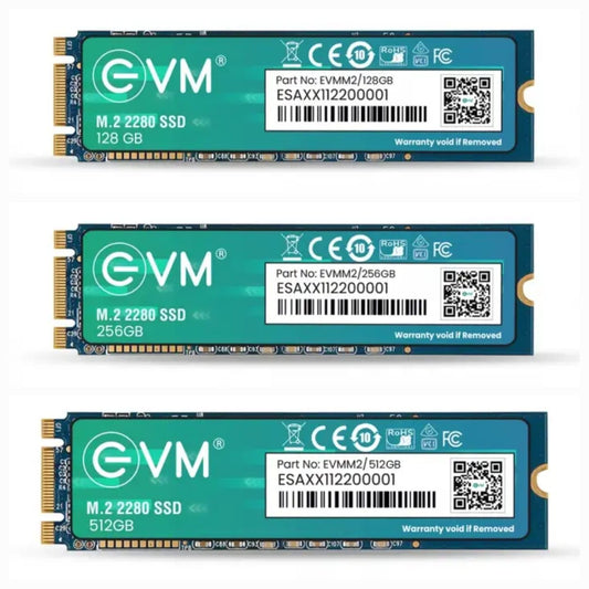 EVM M.2 2280 SSDs – Fast and Compact Storage Solutions