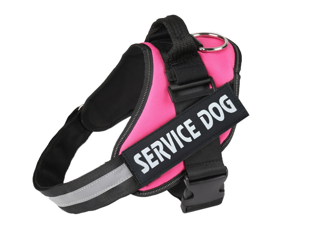 Pet chest strap with dog leash