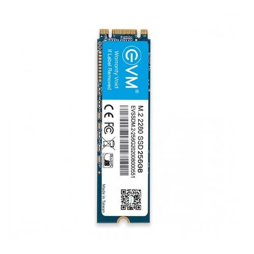 EVM SSD 128GB 256GB 512GB Storage Device